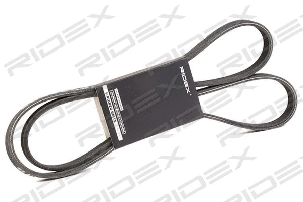 V-Ribbed Belt (305P0222)