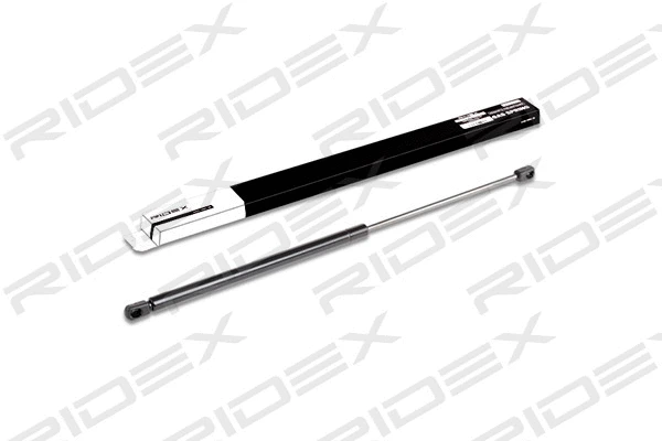 Gas Spring, boot/cargo area (219G0073)