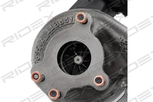 Charger, charging (supercharged/turbocharged)