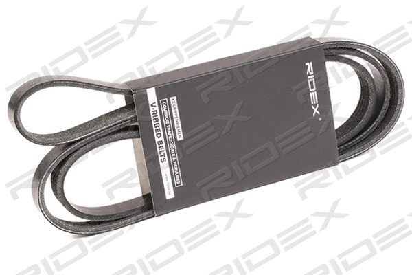 V-Ribbed Belt (305P0380)