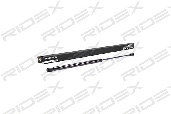 Gas Spring, boot/cargo area (219G0069)