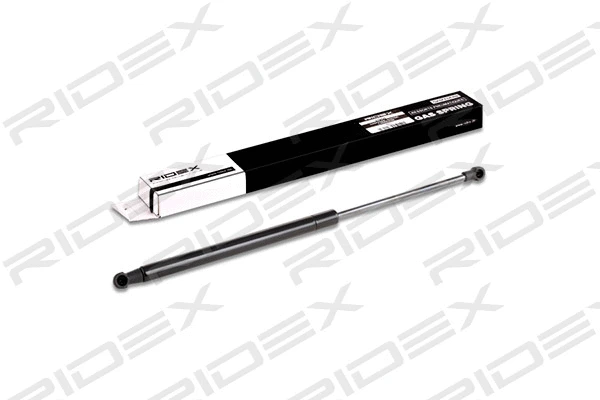 Gas Spring, boot/cargo area (219G0264)
