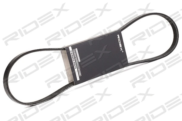 V-Ribbed Belt (305P0187)