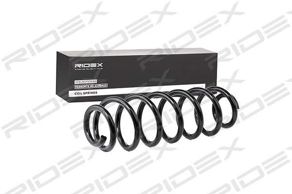 Suspension Spring (188C0359)