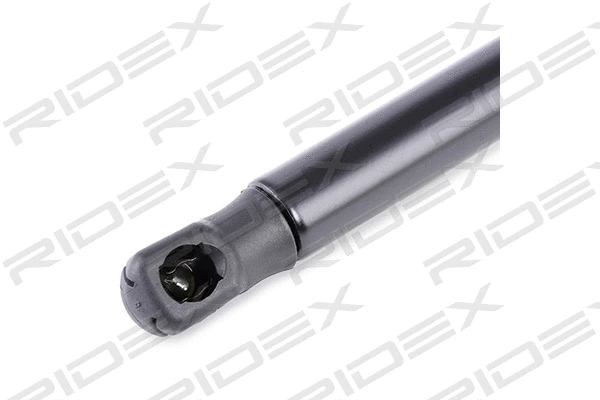 Gas Spring, boot/cargo area (219G0050)