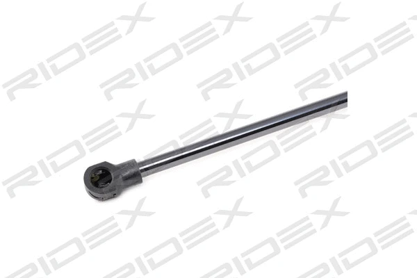 Gas Spring, boot/cargo area (219G0734)