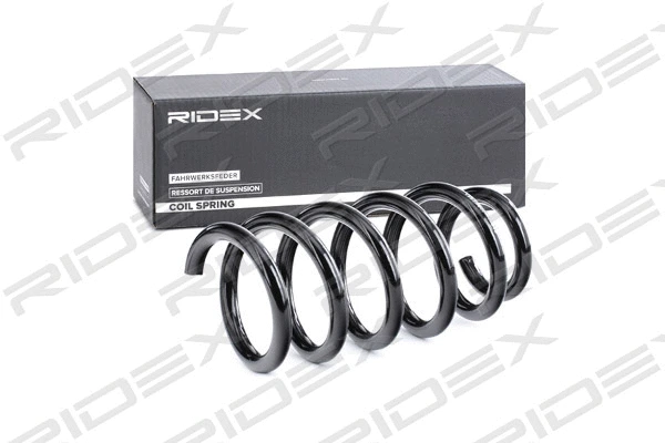 Suspension Spring (188C0299)