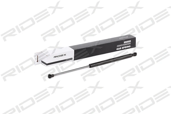 Gas Spring, boot/cargo area (219G0290)