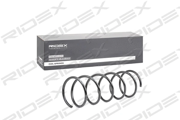 Suspension Spring (188C0415)