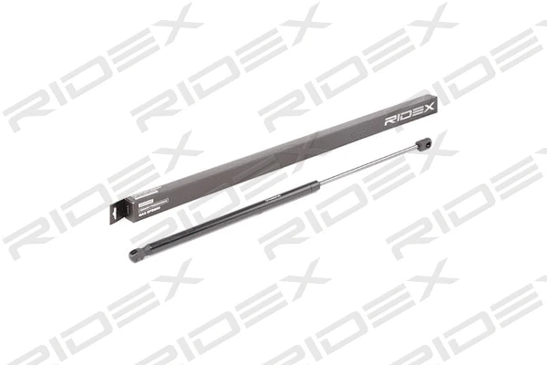 Gas Spring, boot/cargo area (219G0719)