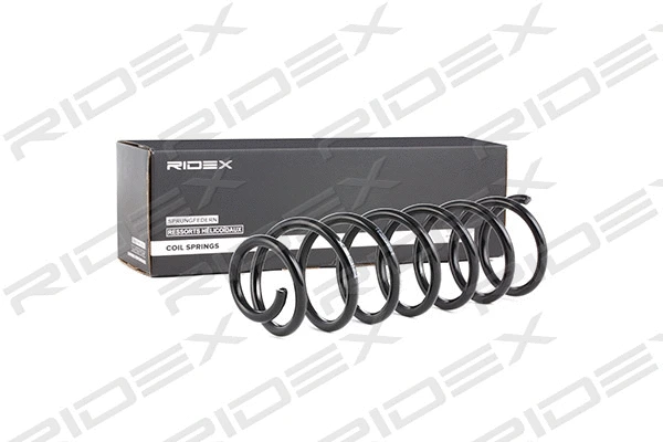 Suspension Spring (188C0231)