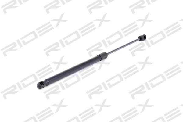 Gas Spring, boot/cargo area (219G0835)