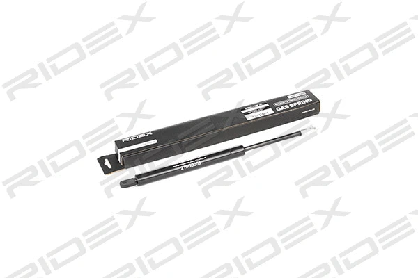 Gas Spring, boot/cargo area (219G0053)