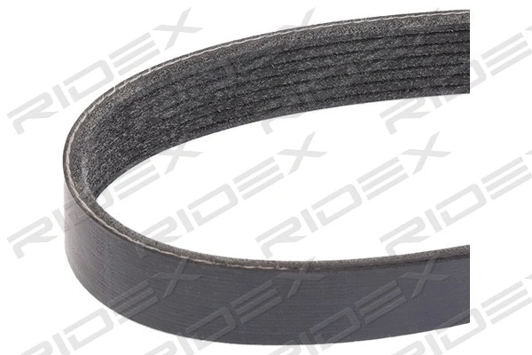 V-Ribbed Belt (305P0451)