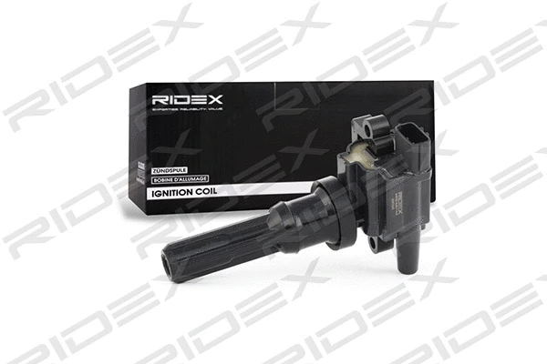 Ignition Coil (689C0049)