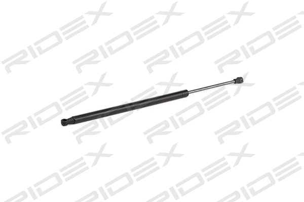 Gas Spring, boot/cargo area (219G0176)