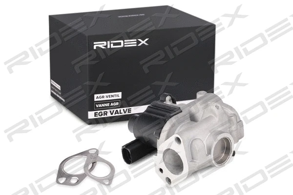 EGR Valve