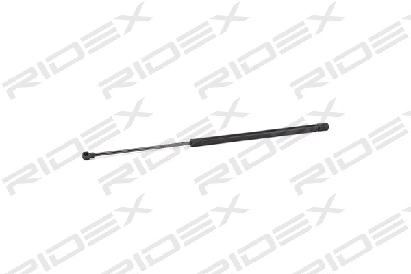 Gas Spring, boot/cargo area (219G0622)