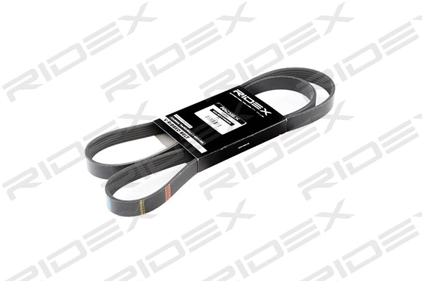 V-Ribbed Belt (305P0075)