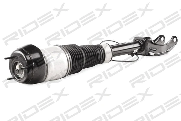 Air Suspension Strut (4118A0022)