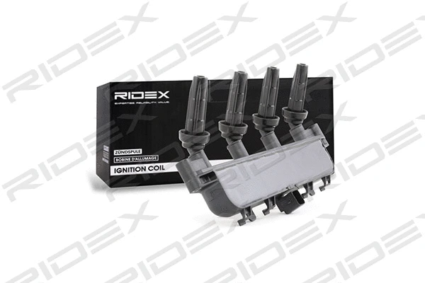 Ignition Coil (689C0091)