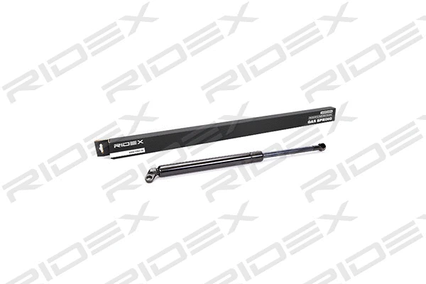 Gas Spring, boot/cargo area (219G0059)