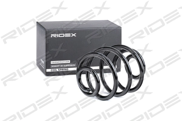 Suspension Spring (188C0481)
