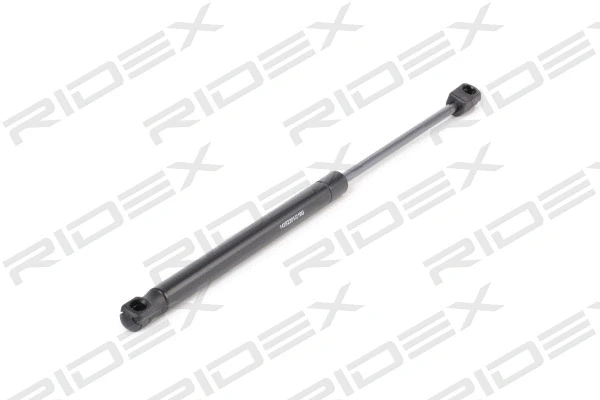 Gas Spring, boot/cargo area (219G0887)