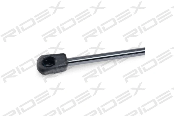 Gas Spring, boot/cargo area (219G0503)