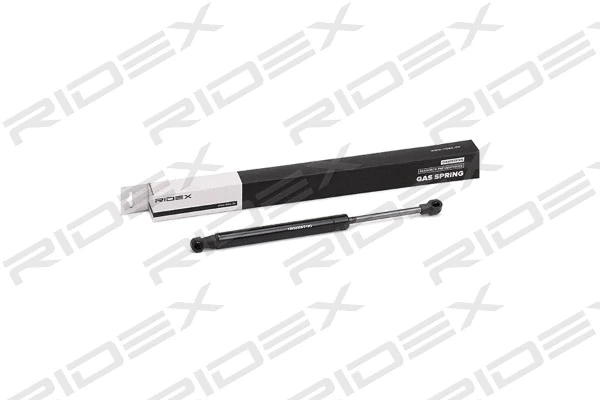 Gas Spring, boot/cargo area