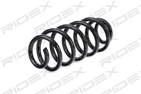 Suspension Spring (188C0410)