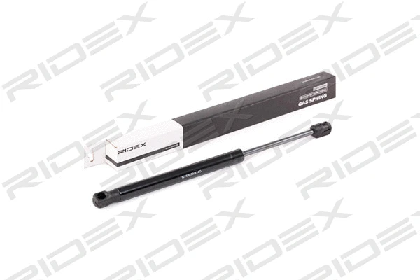 Gas Spring, boot/cargo area