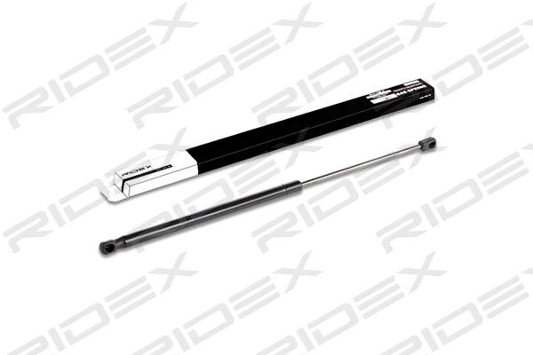 Gas Spring, boot/cargo area (219G0207)