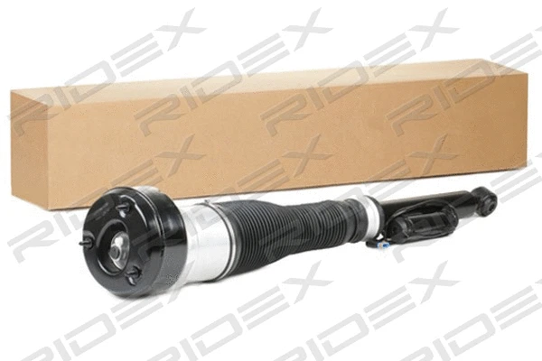 Air Suspension Strut (4118A0031)