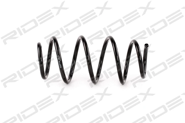 Suspension Spring