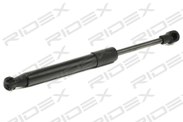 Gas Spring, boot/cargo area (219G0692)