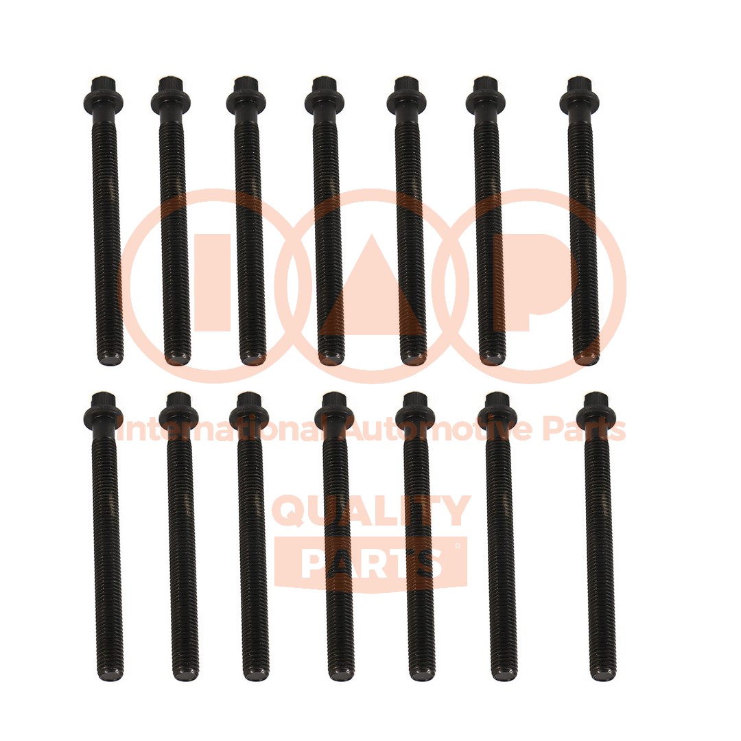 Cylinder Head Bolt Set (119-51030)