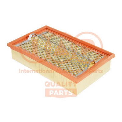 Air Filter (121-18021)