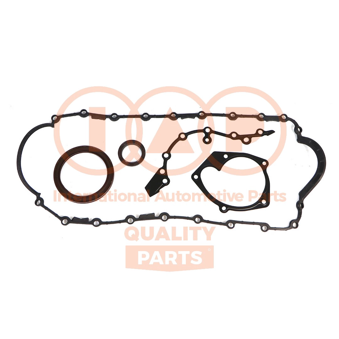 Gasket Kit, crankcase (117-13093)
