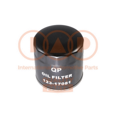Oil Filter (123-17081)