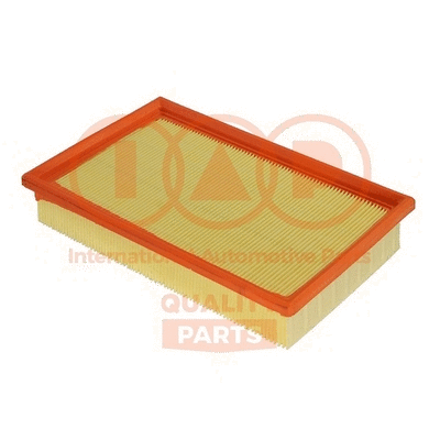 Air Filter (121-16097)