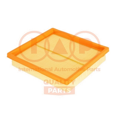 Air Filter (121-25020)