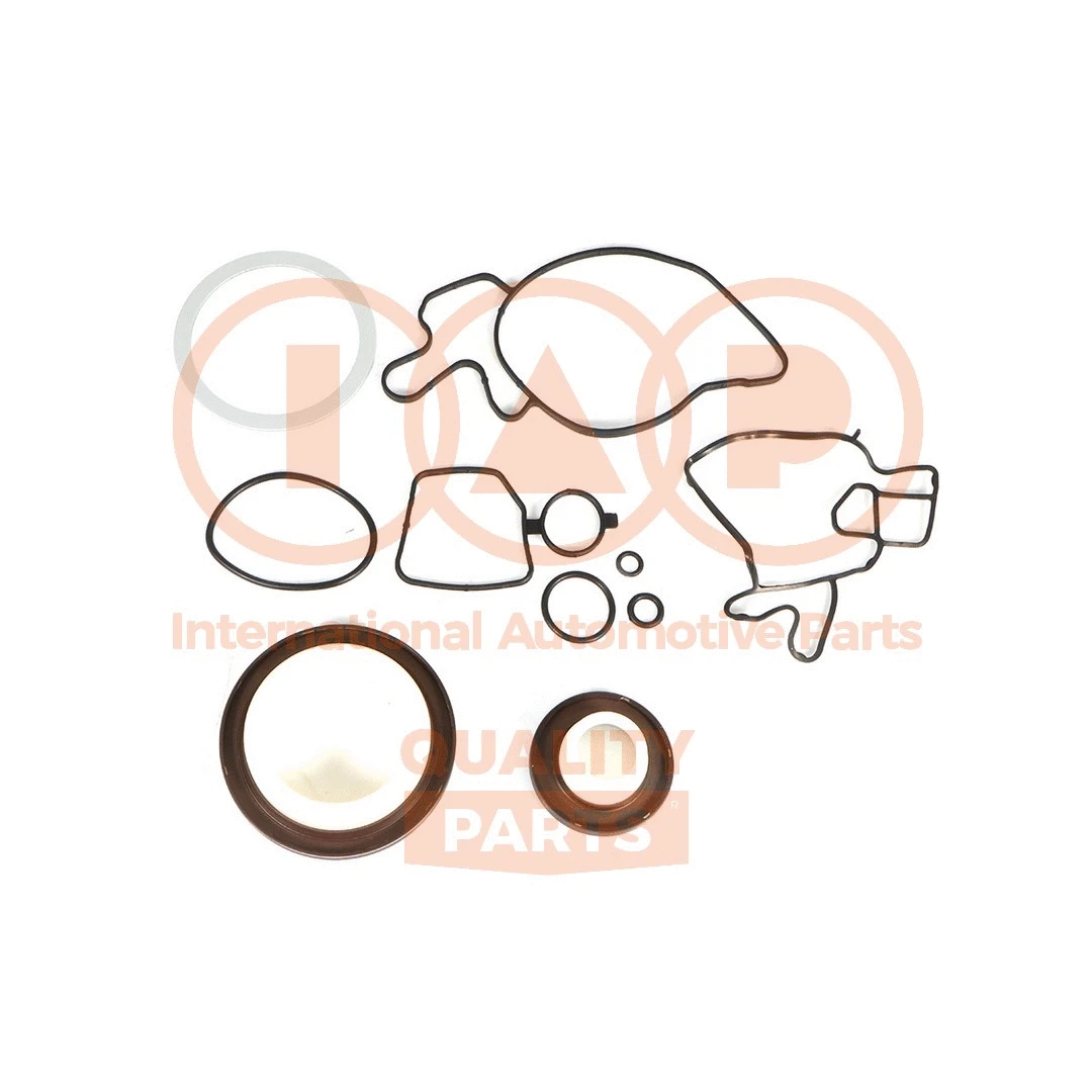 Gasket Kit, crankcase (117-00100)
