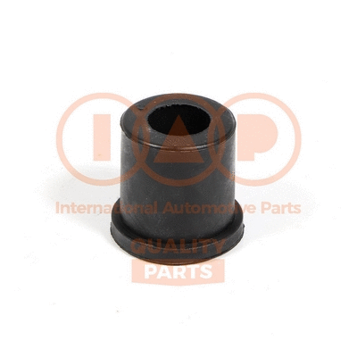 Bushing, leaf spring (502-09021)