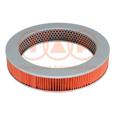 Air Filter (121-16060)