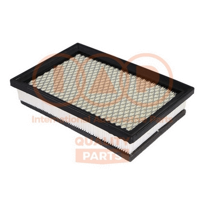 Air Filter (121-10051)