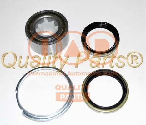 Wheel Bearing Kit (409-17092K)