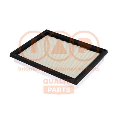 Air Filter (121-11081)