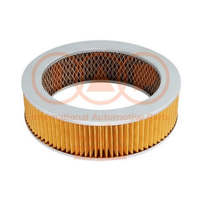 Air Filter (121-06009)