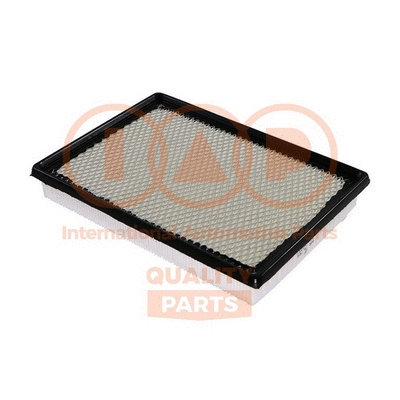Air Filter (121-10052)